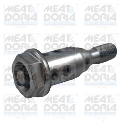 Central Valve, camshaft adjustment